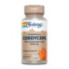 Cordyceps Mushroom Extract 1000mg - 60 vcaps