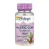 Mastic Gum Extract 500mg - 45 vcaps