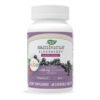Nature's Way Sambucus Kids — 40 таблеток для жування